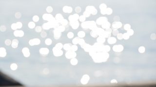 2017年の家電的な目標